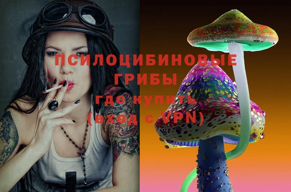 таблы Дмитровск