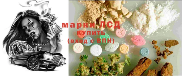 apvp Дмитриев