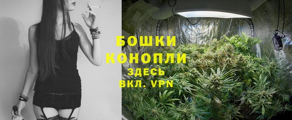 таблы Дмитровск