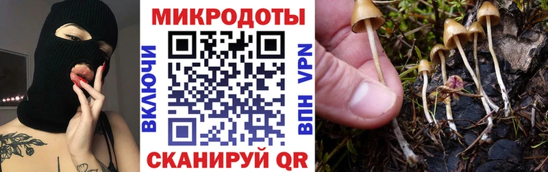 ссылка на мегу вход  Чухлома  Псилоцибиновые грибы прущие грибы 